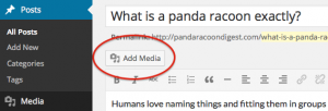 adding a media to wordpress post