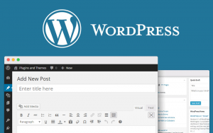 WordPress Blog Post