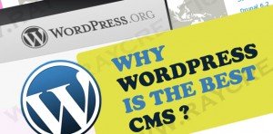 WordPress - The best CMS for websites
