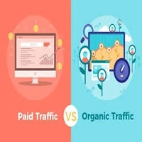 Paid traffic vs Organic traffic