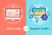 Organicseo vs Paid search